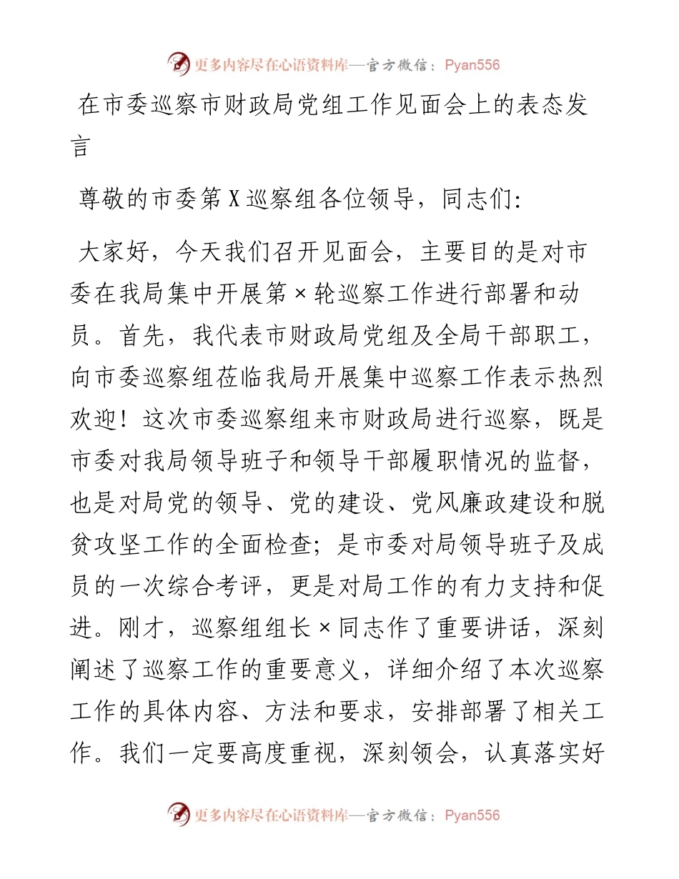 在市委巡察市财政局党组工作见面会上的表态发言.docx_第1页