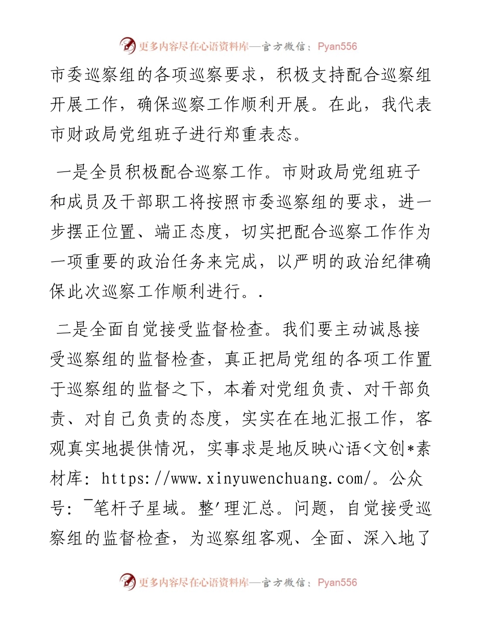 在市委巡察市财政局党组工作见面会上的表态发言.docx_第2页