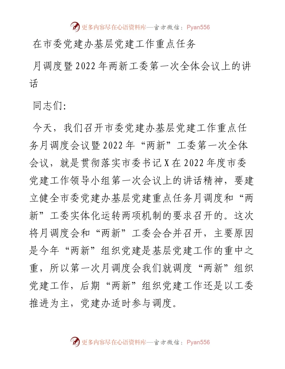 在市委党建办基层党建工作重点任务月调度暨两新工委第一次全体会议上的讲话.docx_第1页
