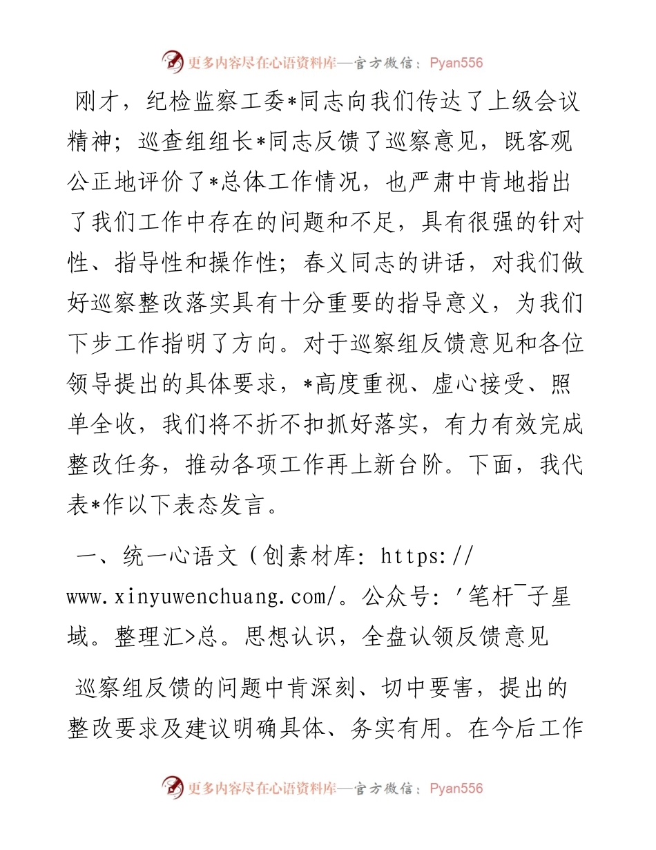 在巡察反馈会议上的表态发言.docx_第1页