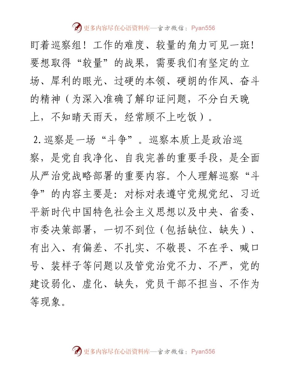 在巡察干部座谈交流会上的发言.docx_第2页