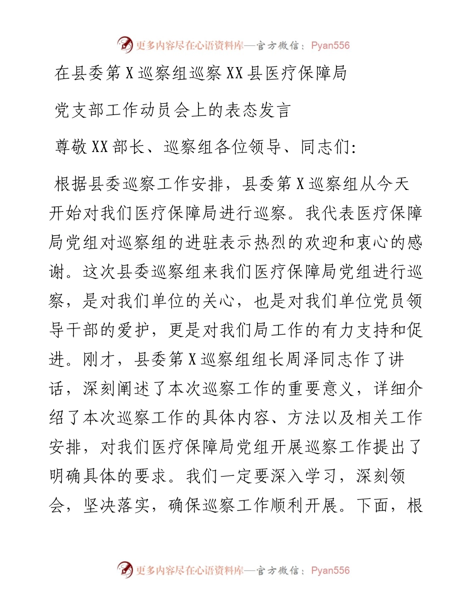 在县委第X巡察组巡察县医疗保障局党支部工作动员会上的表态发言.docx_第1页