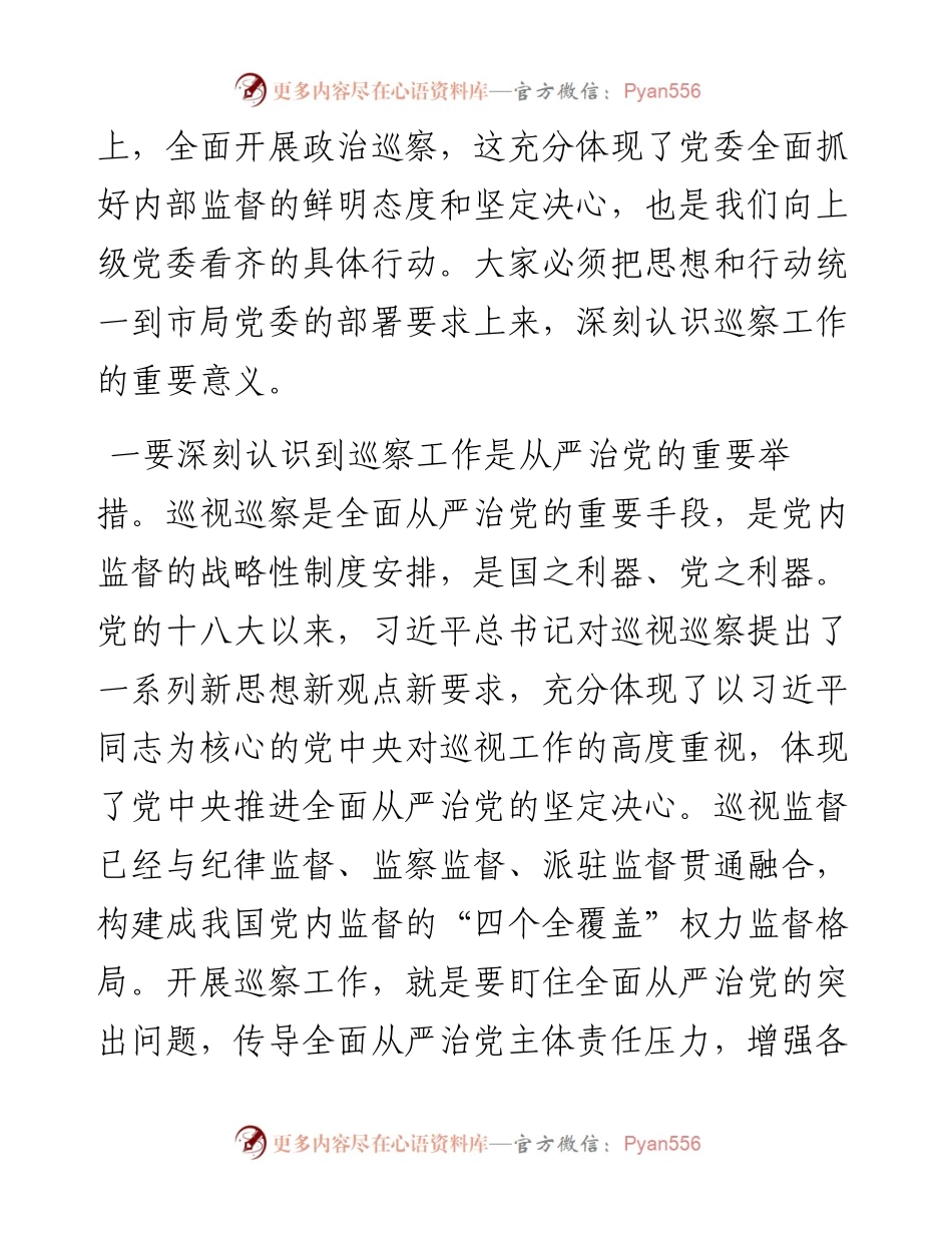 在市局巡察办工作会议上的讲话.docx_第2页