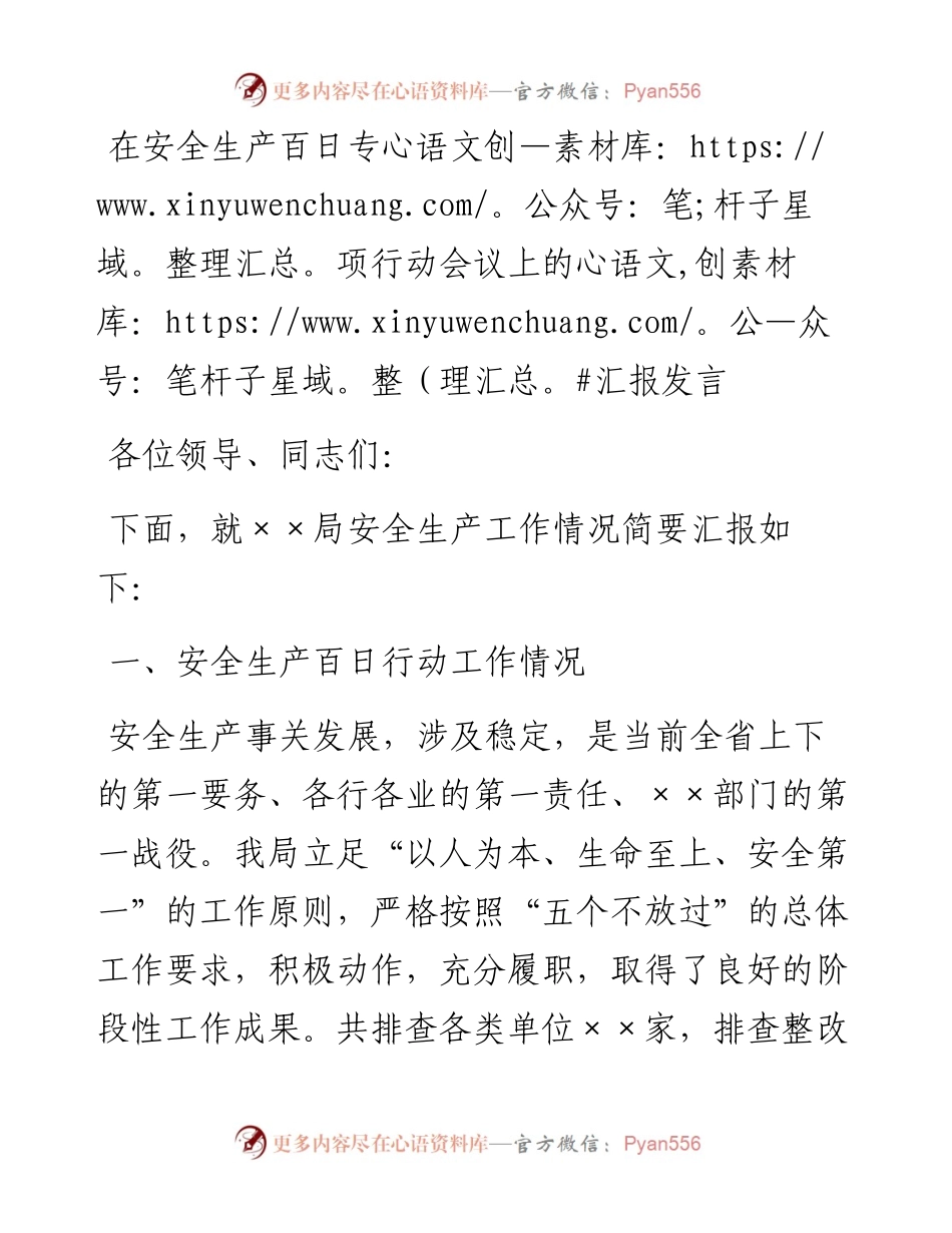 在安全生产百日专项行动会议上的汇报发言.docx_第1页