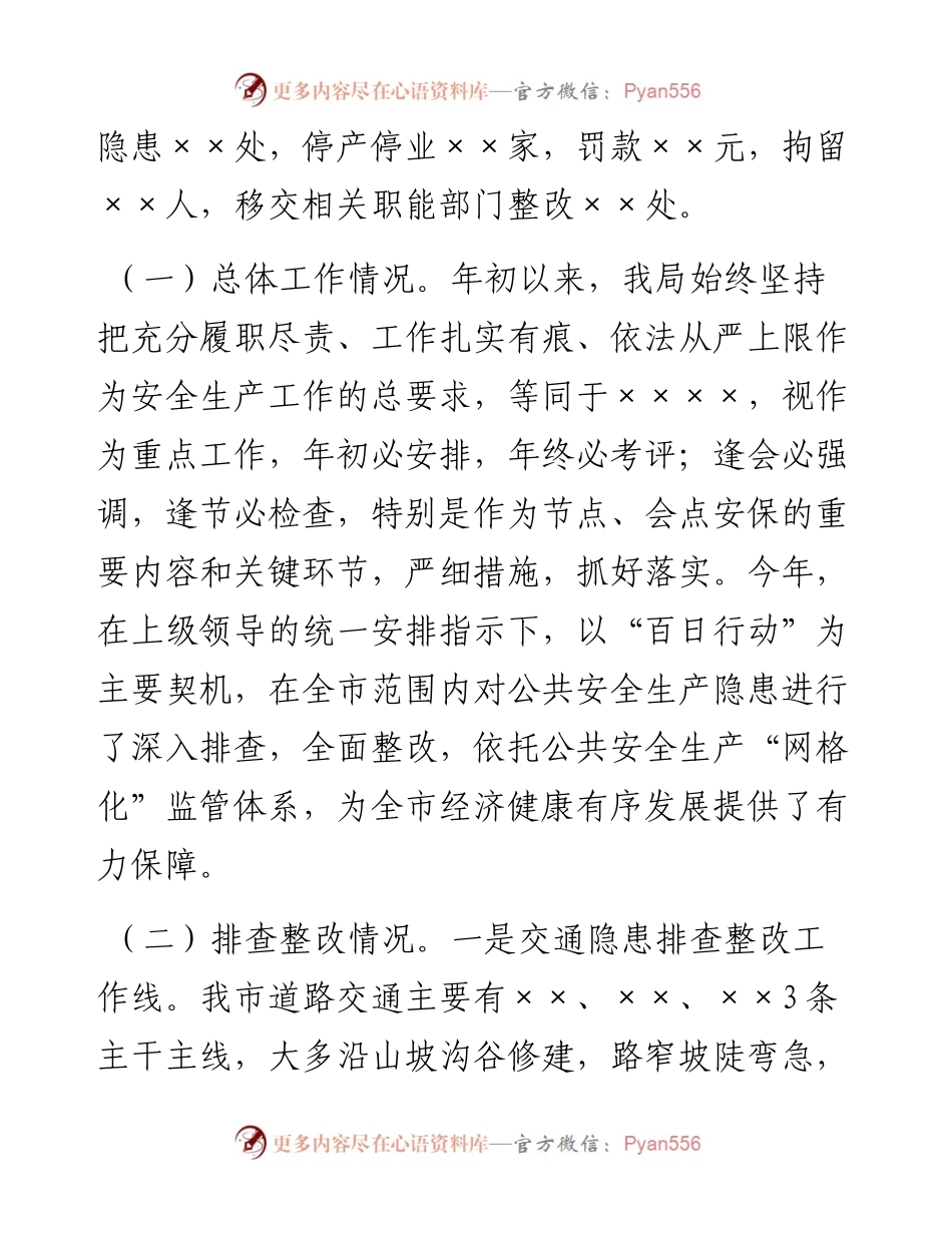 在安全生产百日专项行动会议上的汇报发言.docx_第2页