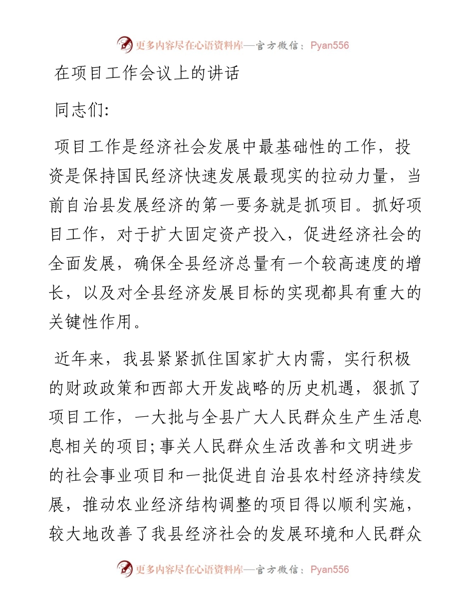 在项目工作会议上的讲话.docx_第1页