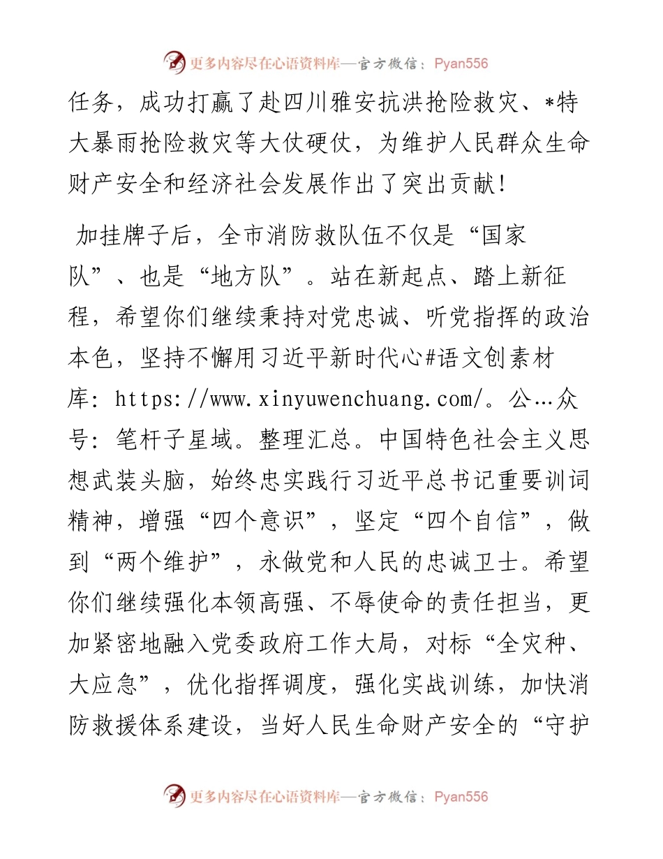在某市消防救援支队加挂“消防救援局”牌子仪式上的讲话.docx_第2页