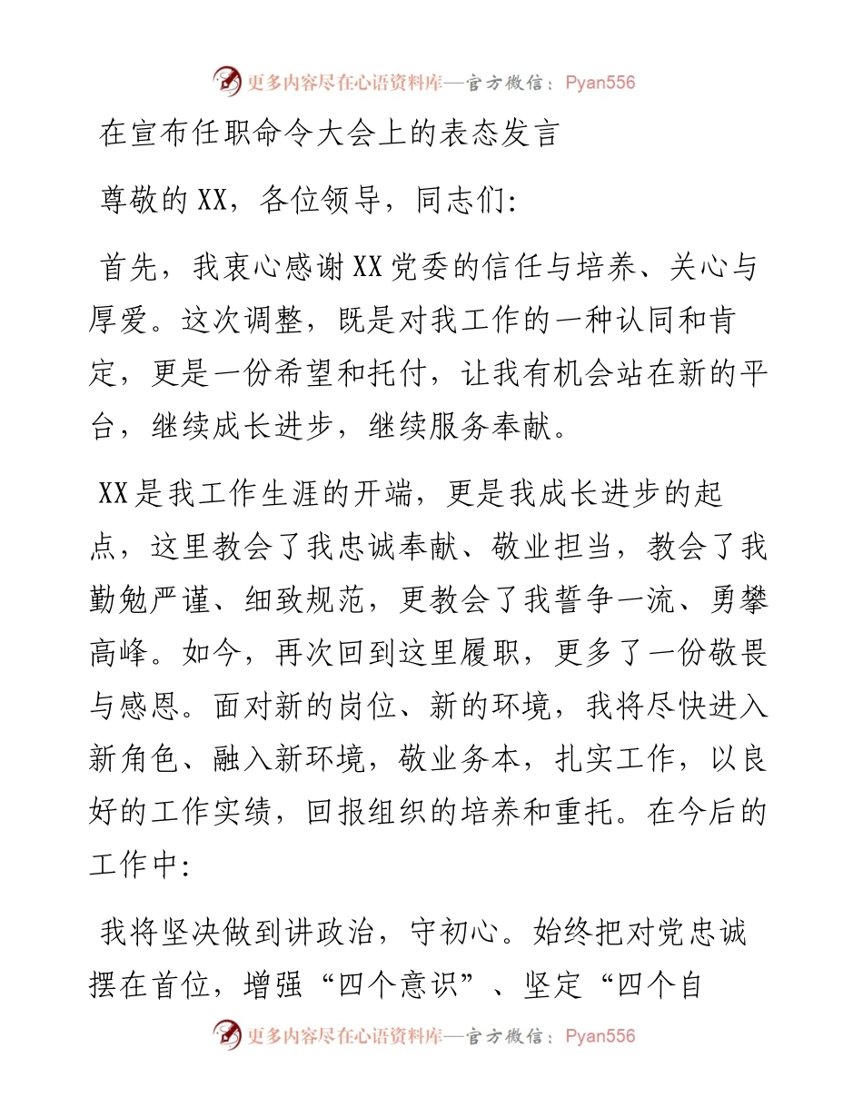 在宣布任职命令大会上的表态发言.docx_第1页