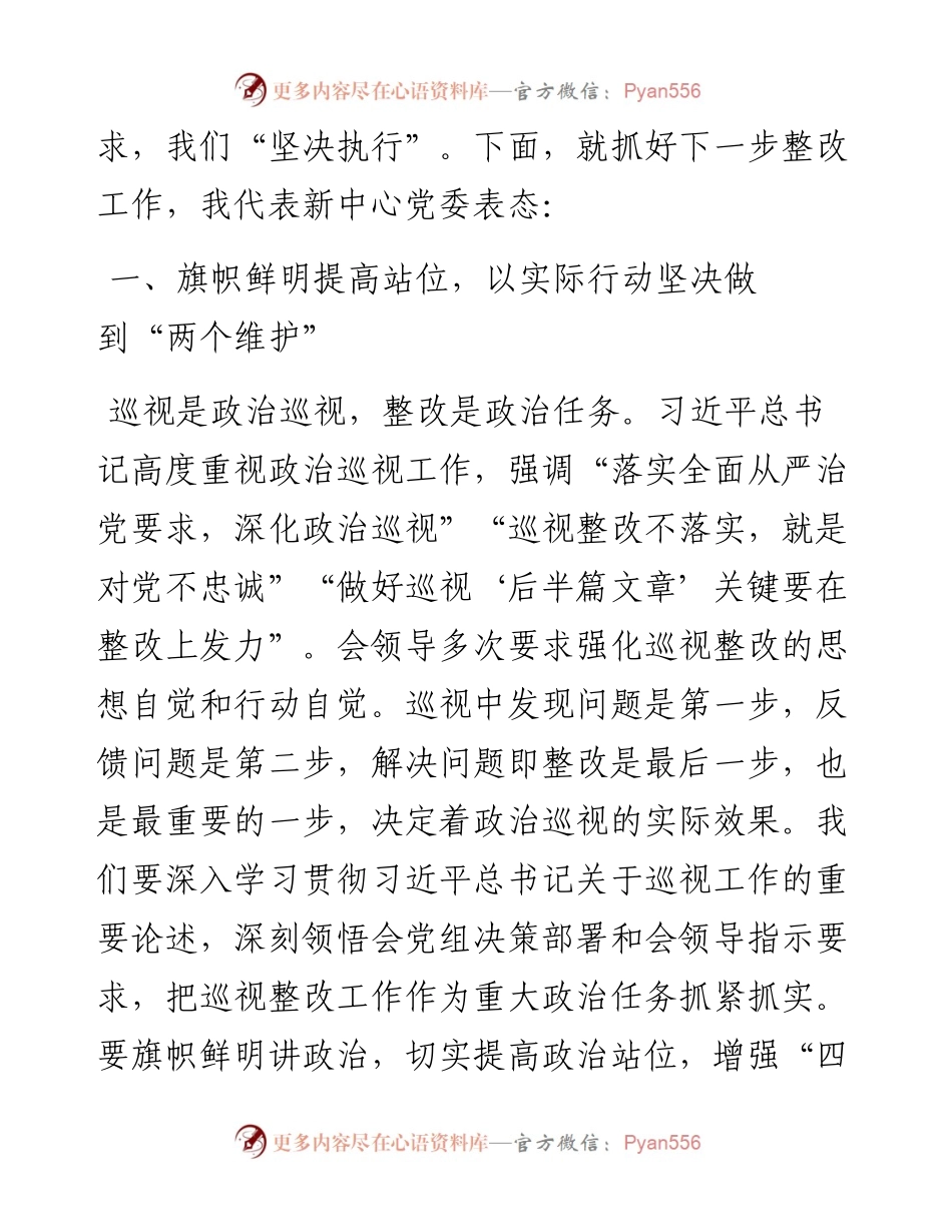 在巡视组巡视青少年科技文化交流中心党委情况反馈会上的表态发言.docx_第2页