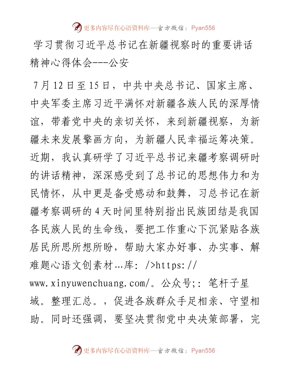 学习贯彻习近平总书记在新疆视察时的重要讲话精神心得体会---公安.docx_第1页