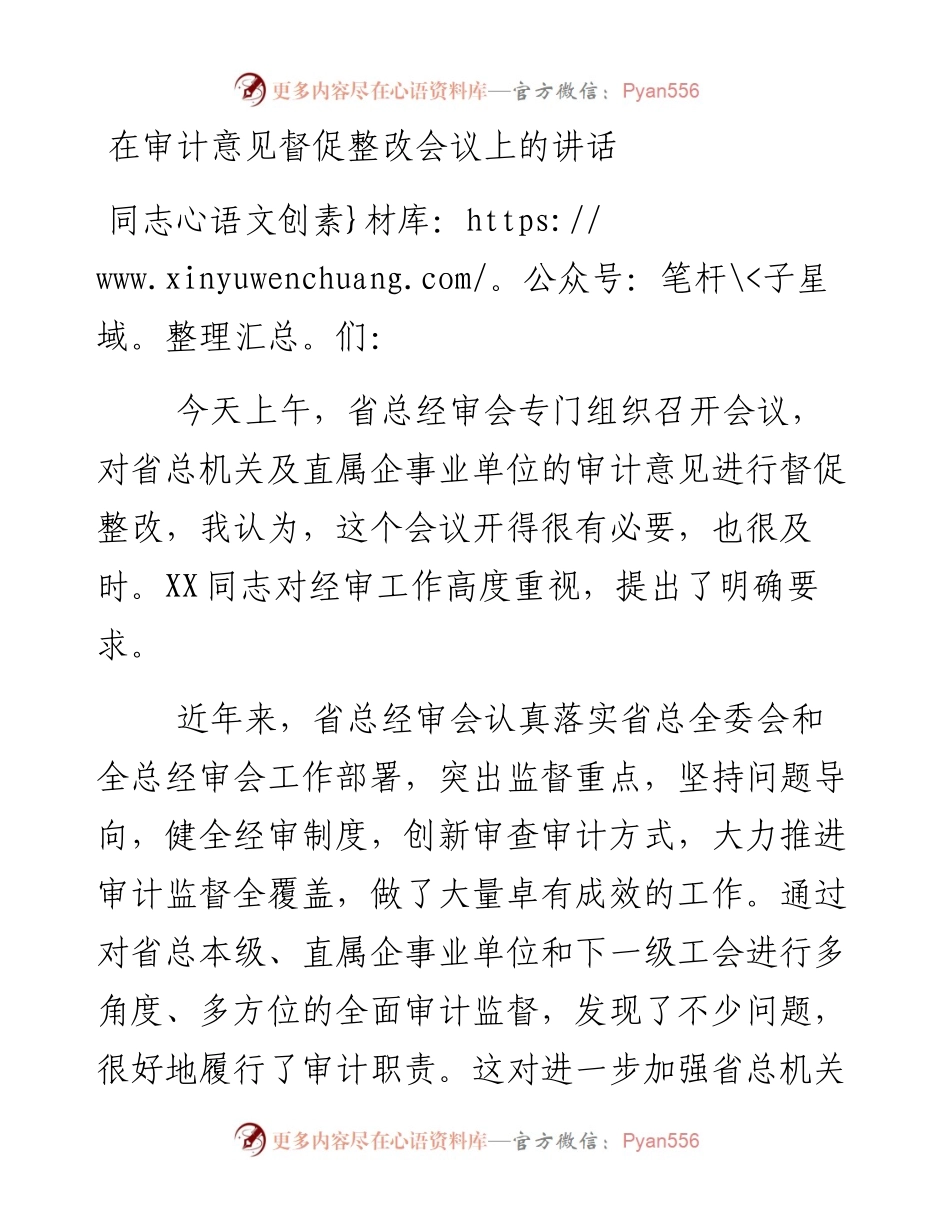 在审计意见督促整改会议上的讲话.docx_第1页