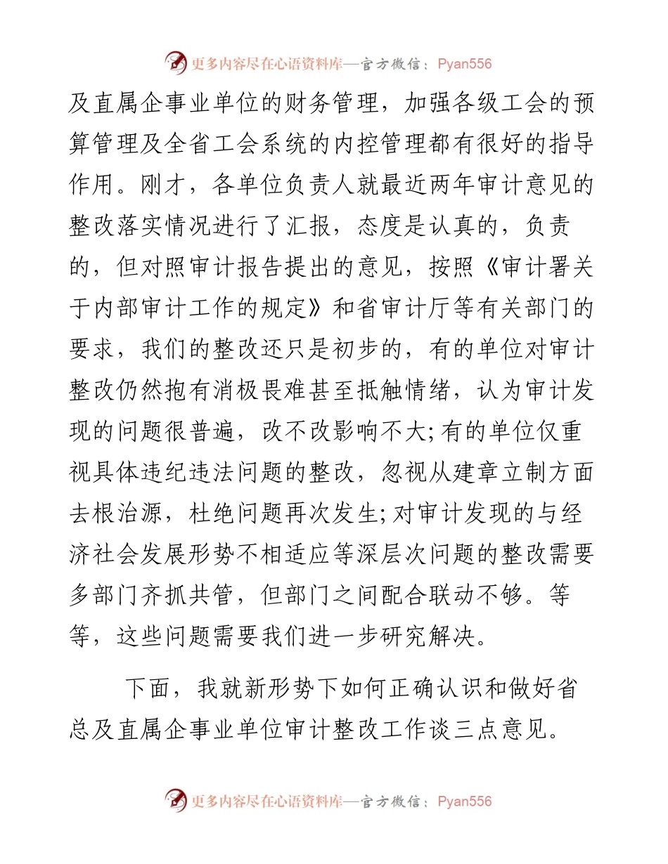 在审计意见督促整改会议上的讲话.docx_第2页