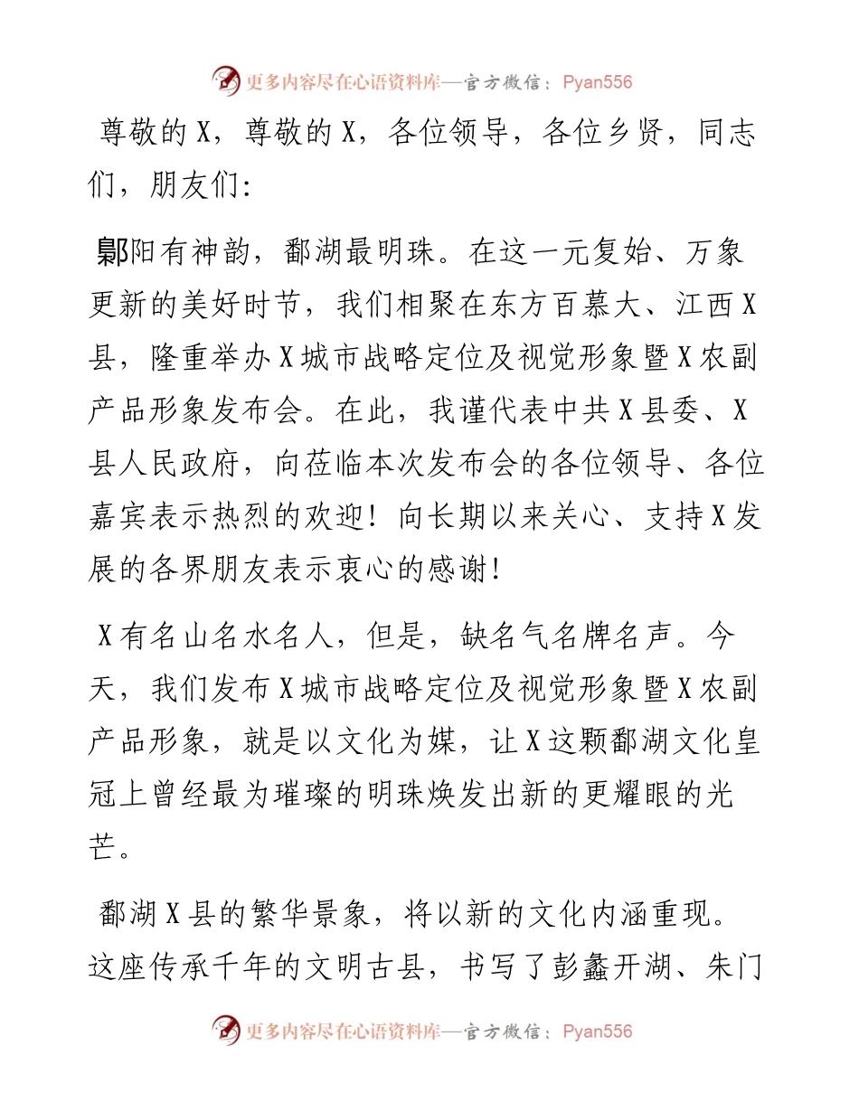 在城市战略定位及视觉形象暨农副产品形象发布会上的欢迎辞.docx_第1页