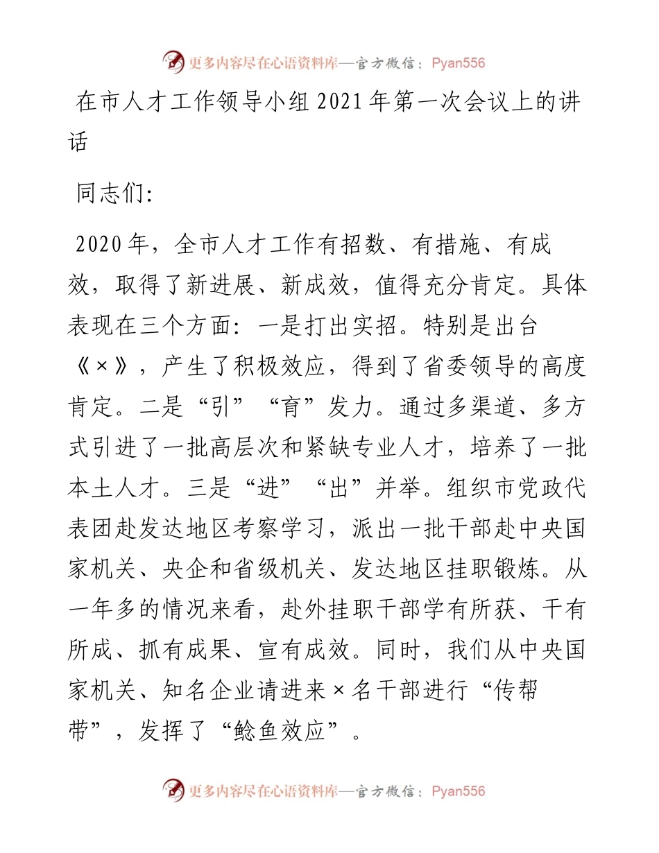 在市人才工作领导小组第一次会议上的讲话.docx_第1页