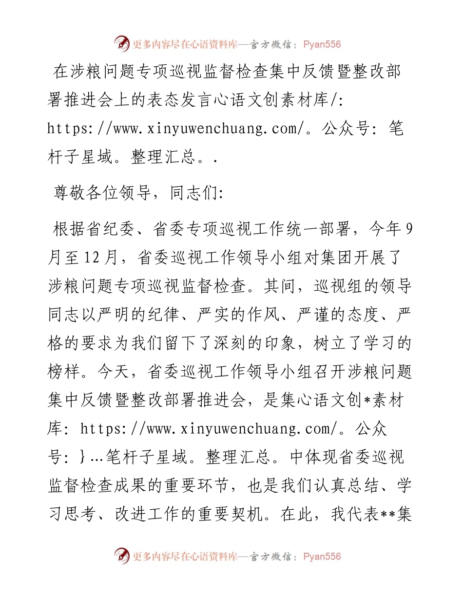 在涉粮问题专项巡视监督检查集中反馈暨整改部署推进会上的表态发言.docx_第1页