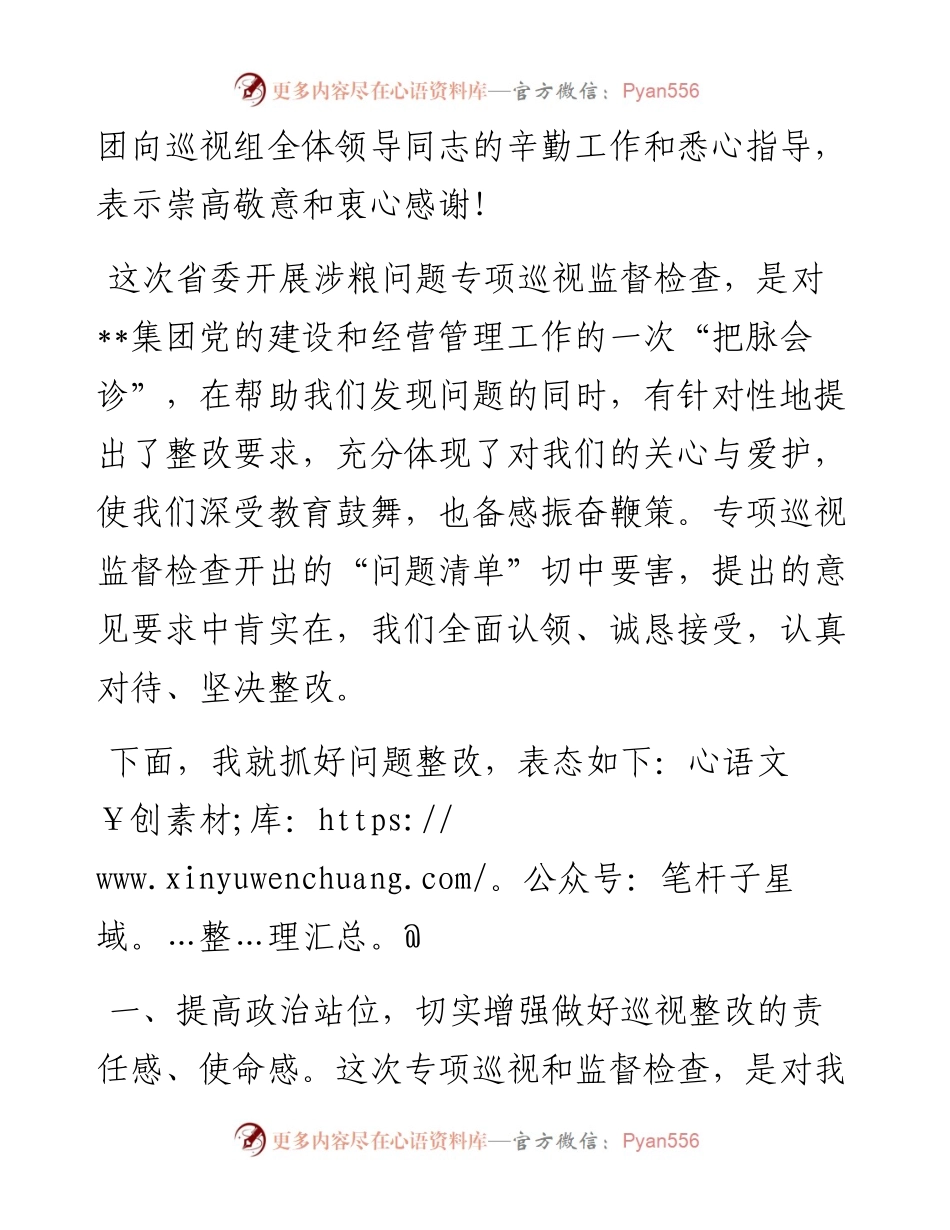 在涉粮问题专项巡视监督检查集中反馈暨整改部署推进会上的表态发言.docx_第2页