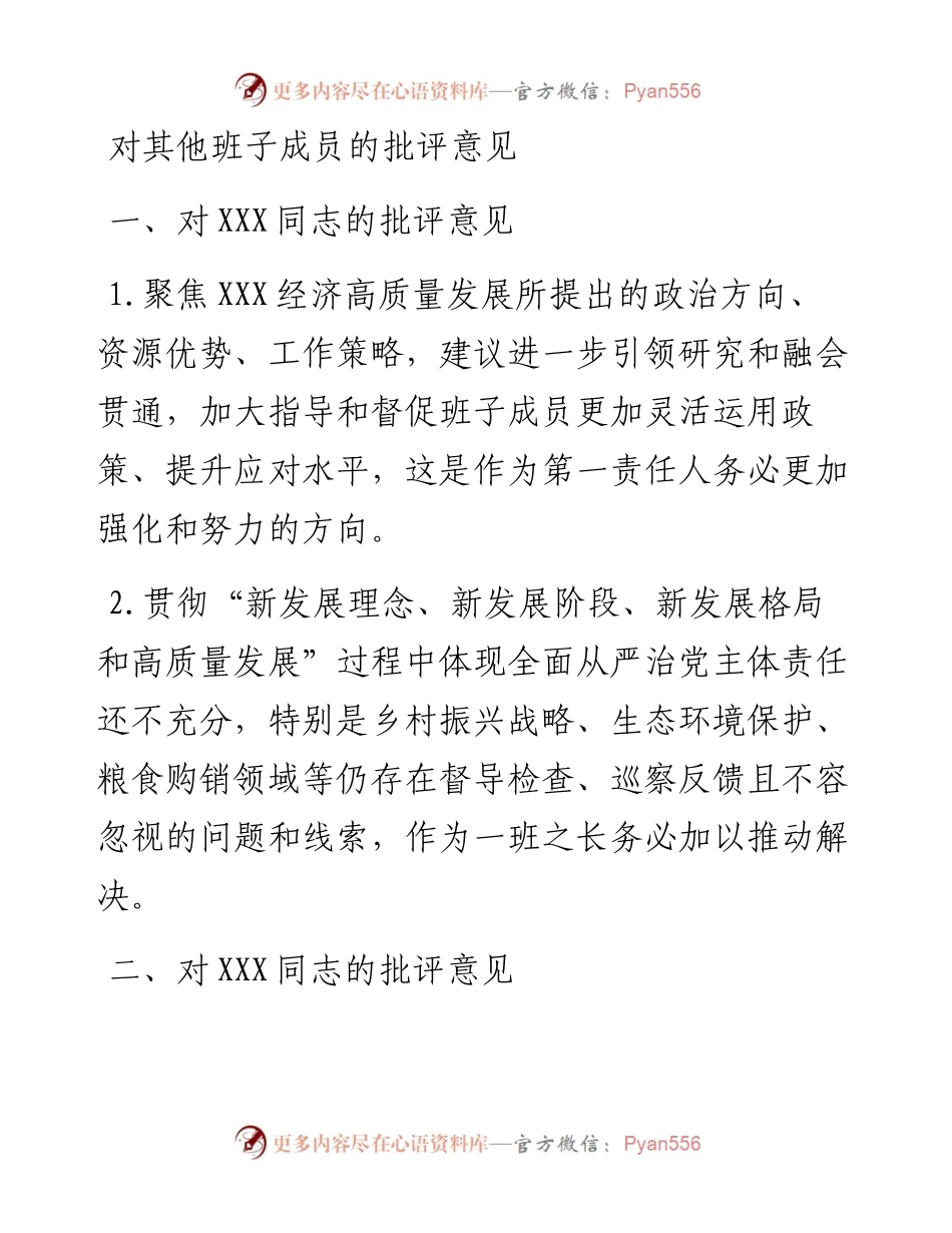 对其他班子成员的批评意见.docx_第1页