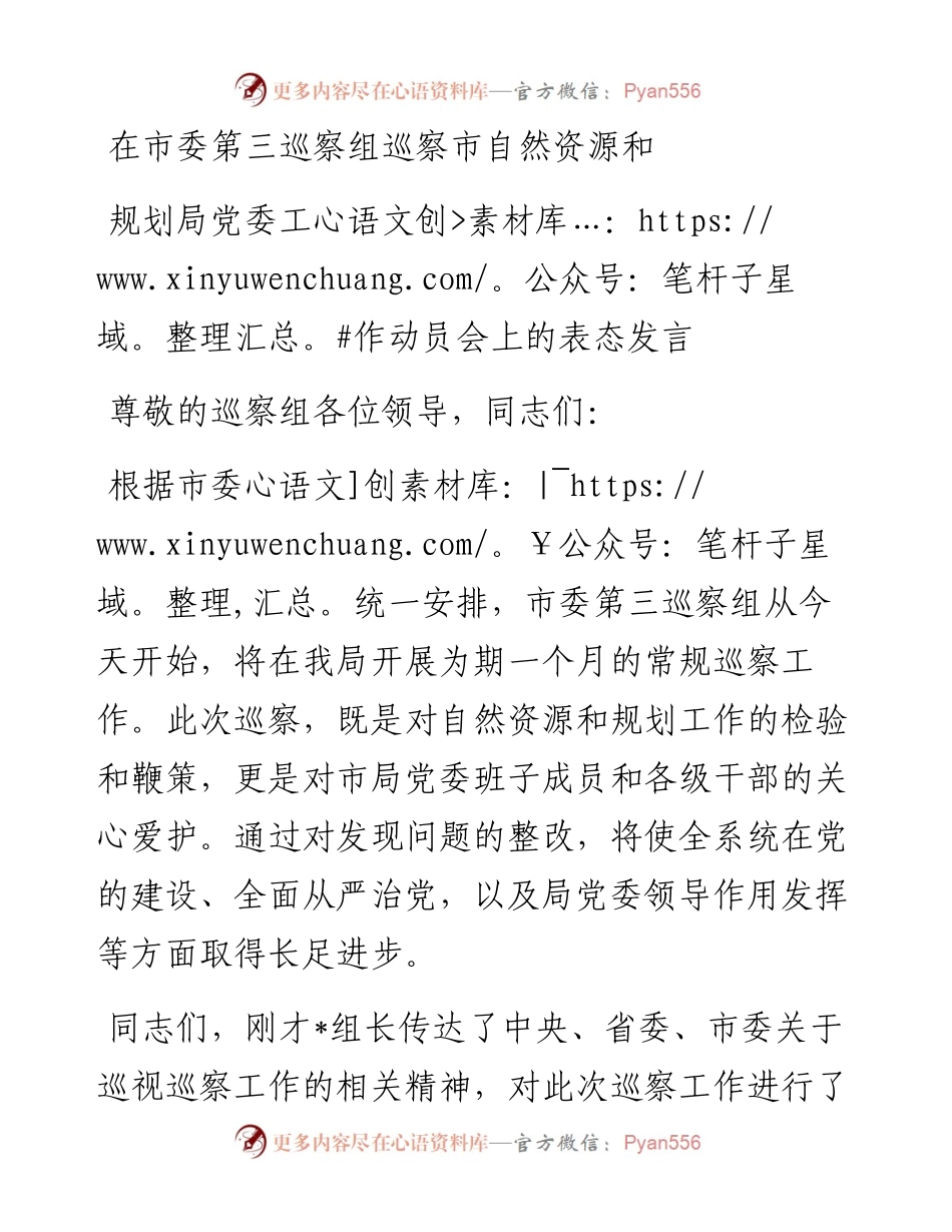 在市委第三巡察组巡察市自然资源和规划局党委工作动员会上的表态发言.docx_第1页