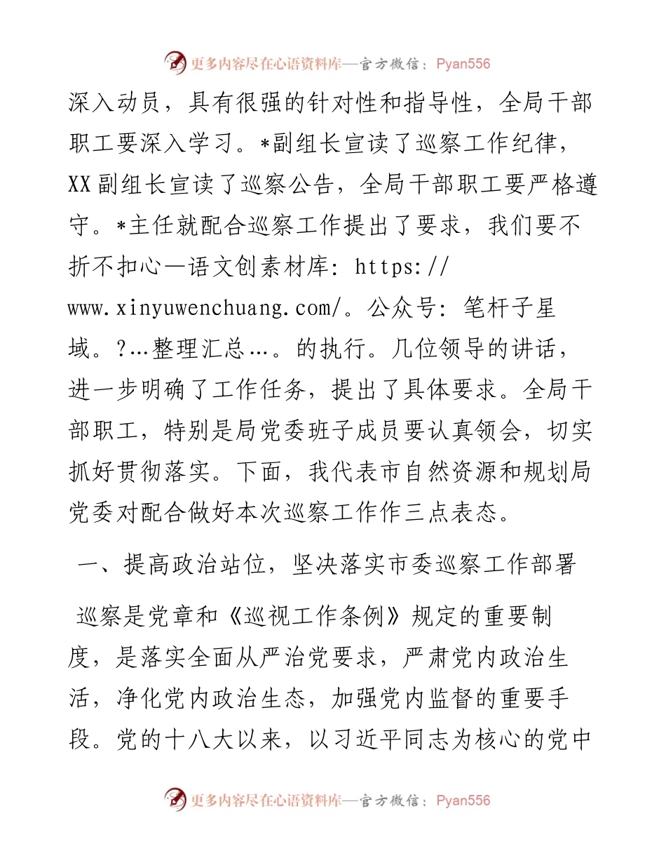 在市委第三巡察组巡察市自然资源和规划局党委工作动员会上的表态发言.docx_第2页
