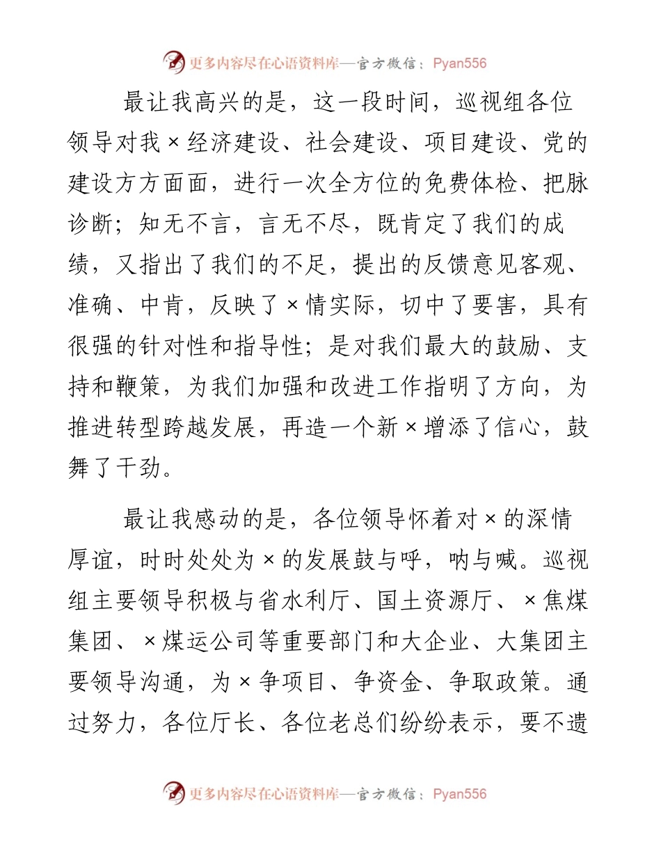 在巡视工作反馈会上的发言.docx_第2页