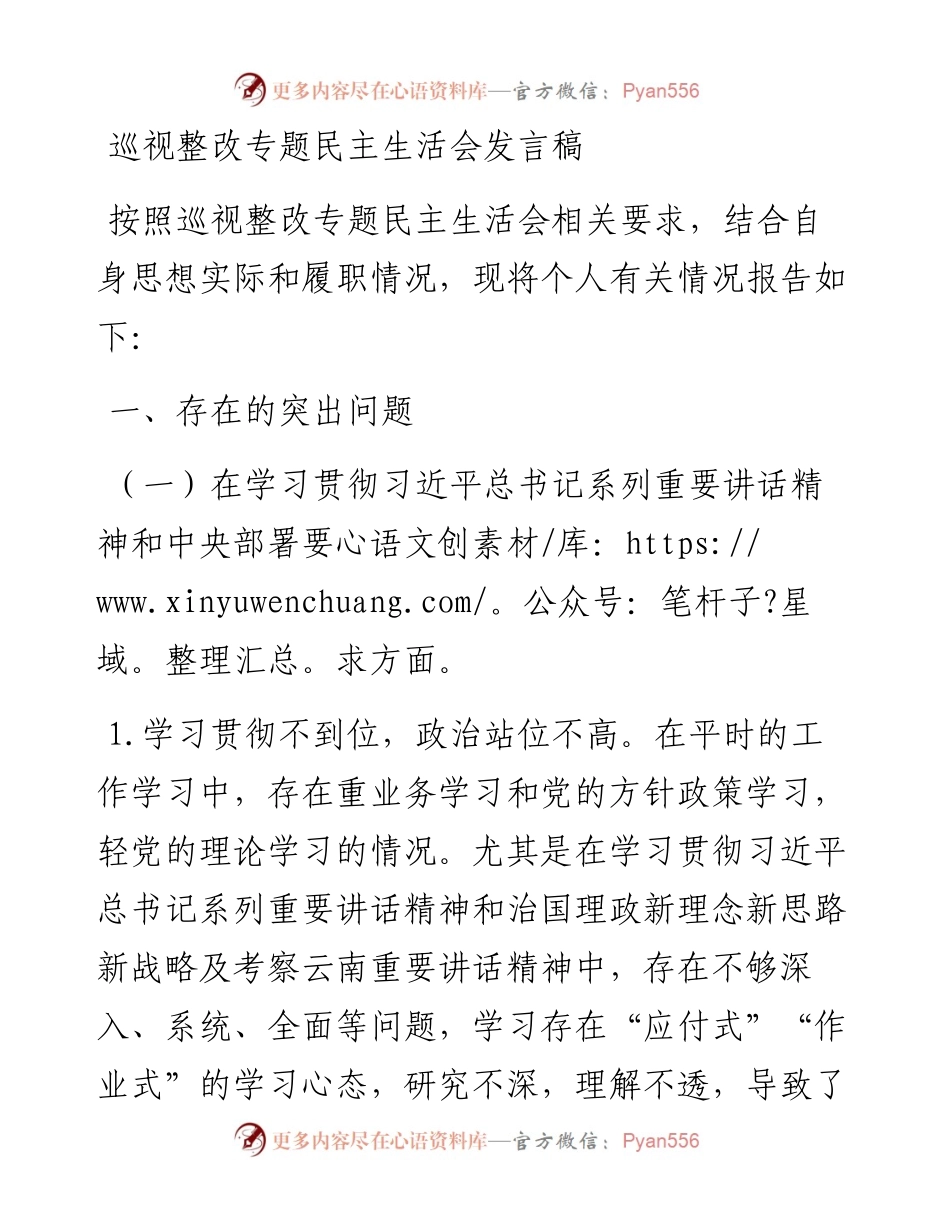 巡视整改专题民主生活会发言稿.docx_第1页