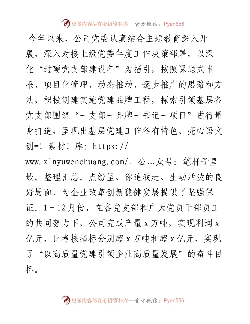 实施“一支部一品牌一书记一项目”过硬党支部建设经验交流材料.docx_第1页