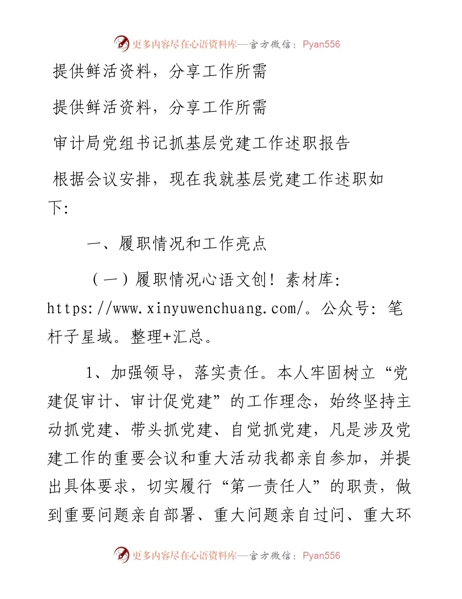 审计局党组书记抓基层党建工作述职报告.docx_第1页