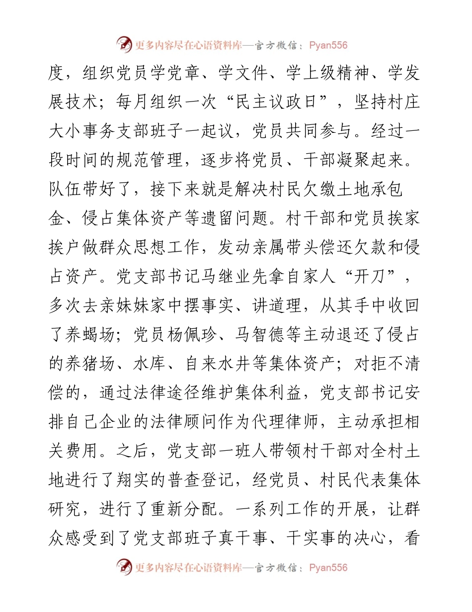 夯实基层堡垒 引领山村蝶变——村党支部事迹材料.docx_第2页
