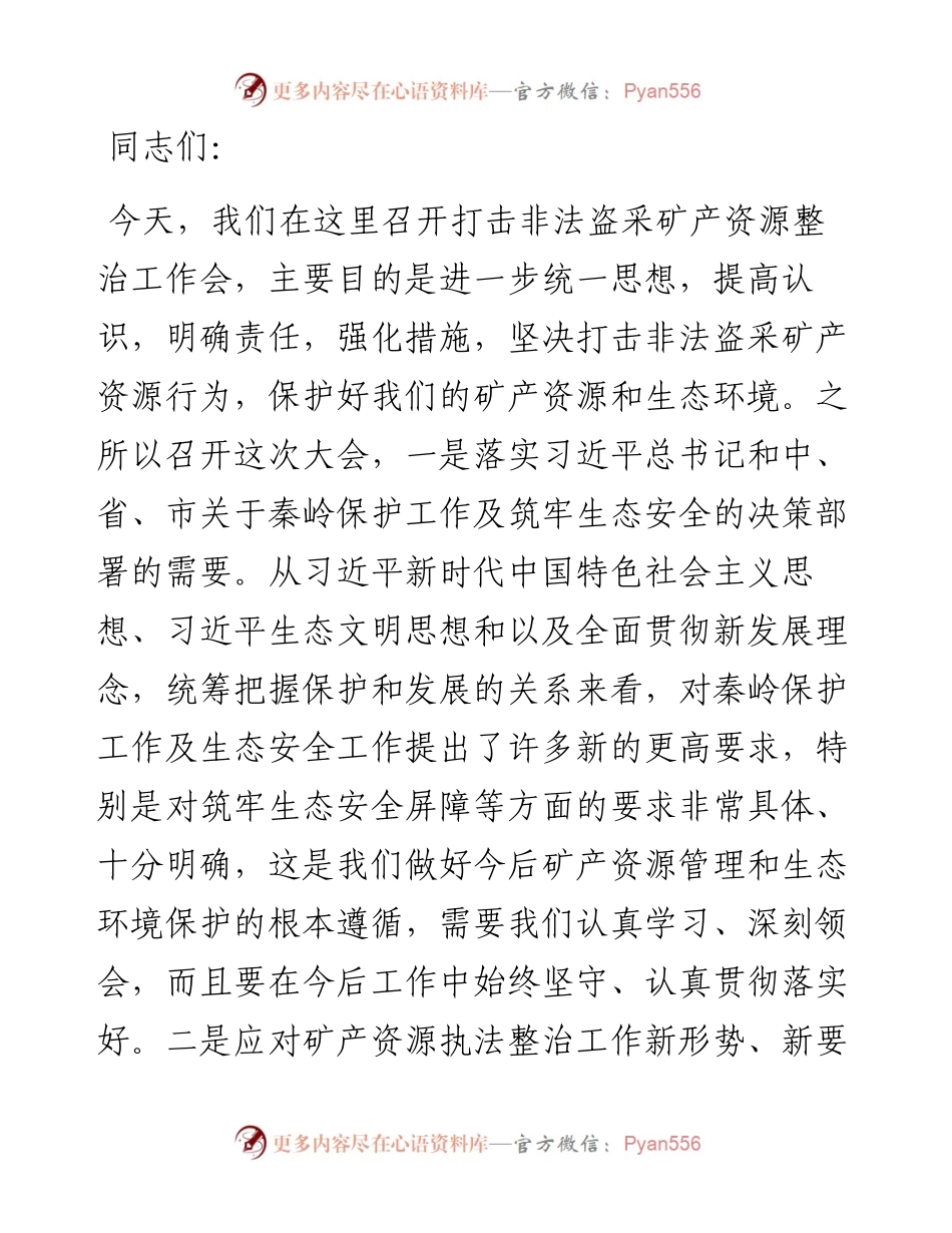 在打击非法盗采矿产资源整治工作会上的讲话.docx_第1页