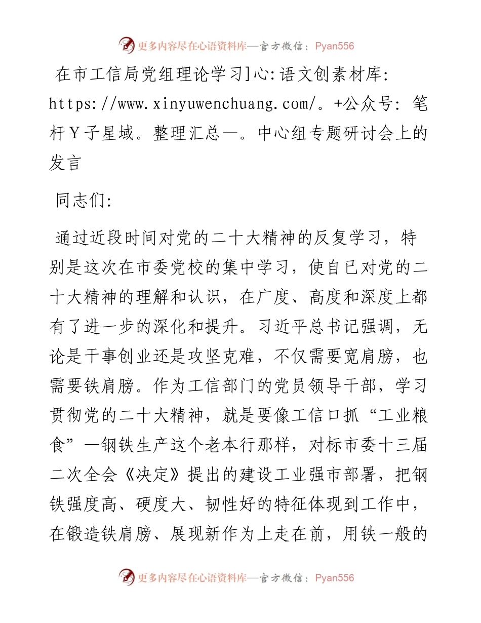 在市工信局党组理论学习中心组专题研讨会上的发言.docx_第1页