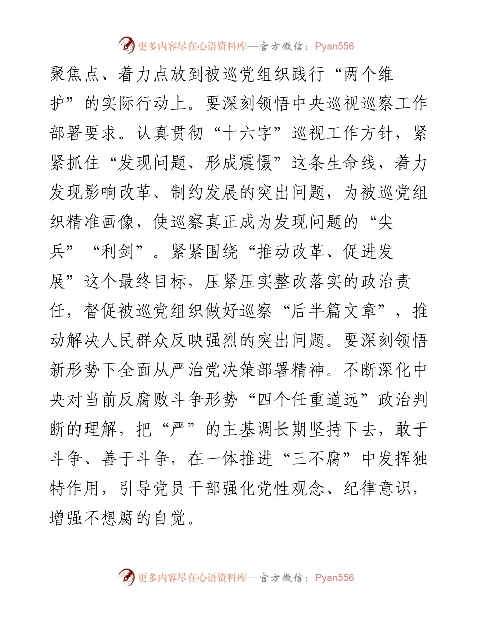 坚守初心使命 强化责任担当 推动巡察监督高质量发展——市委巡察工作高质量发展推进会经验交流材料.docx_第2页