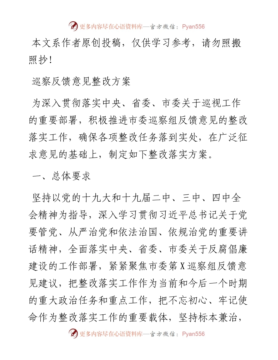 巡察反馈意见整改方案.docx_第1页