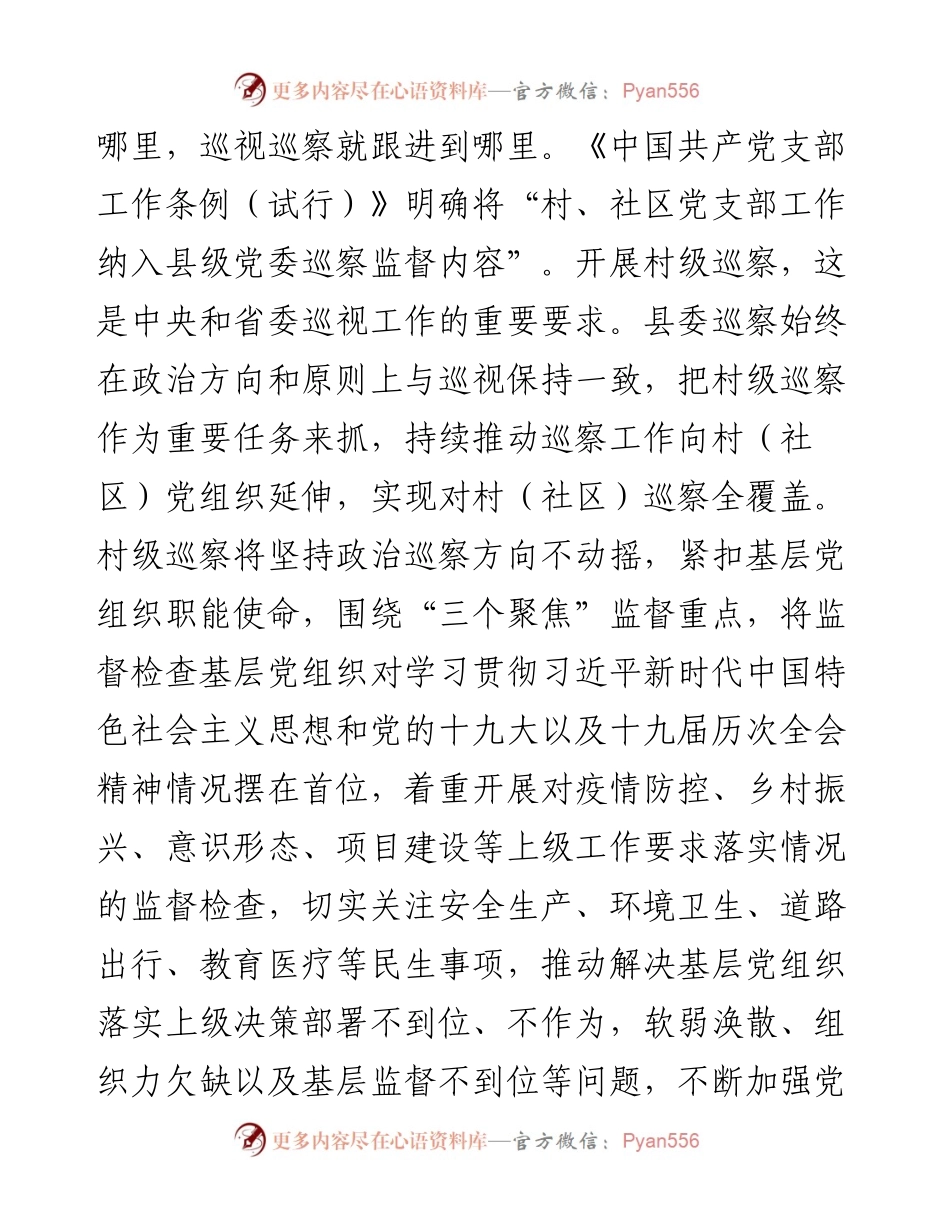 巡察办主任在村级巡察工作动员会上的讲话.docx_第2页