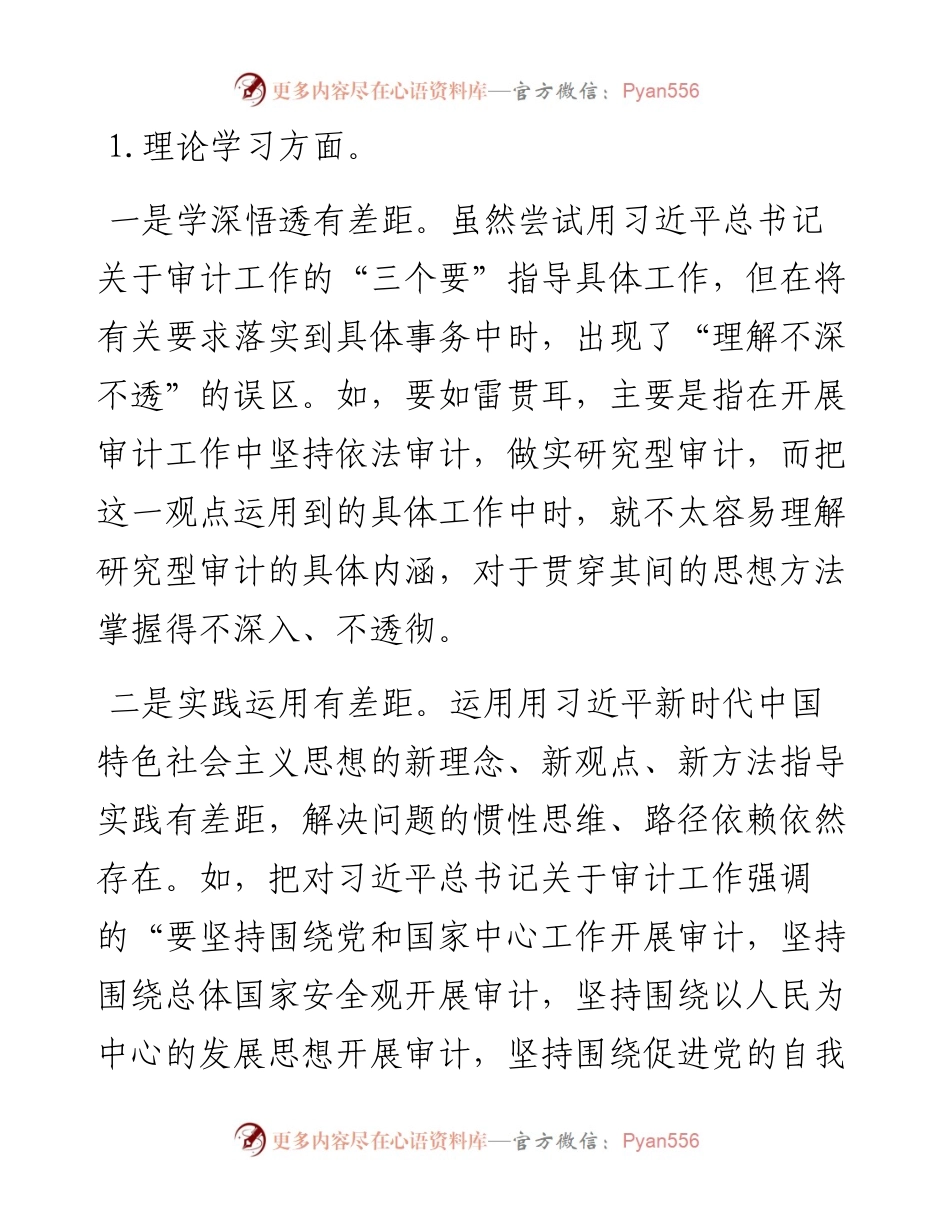 审计局党组书记主题教育民主生活会材料.docx_第2页