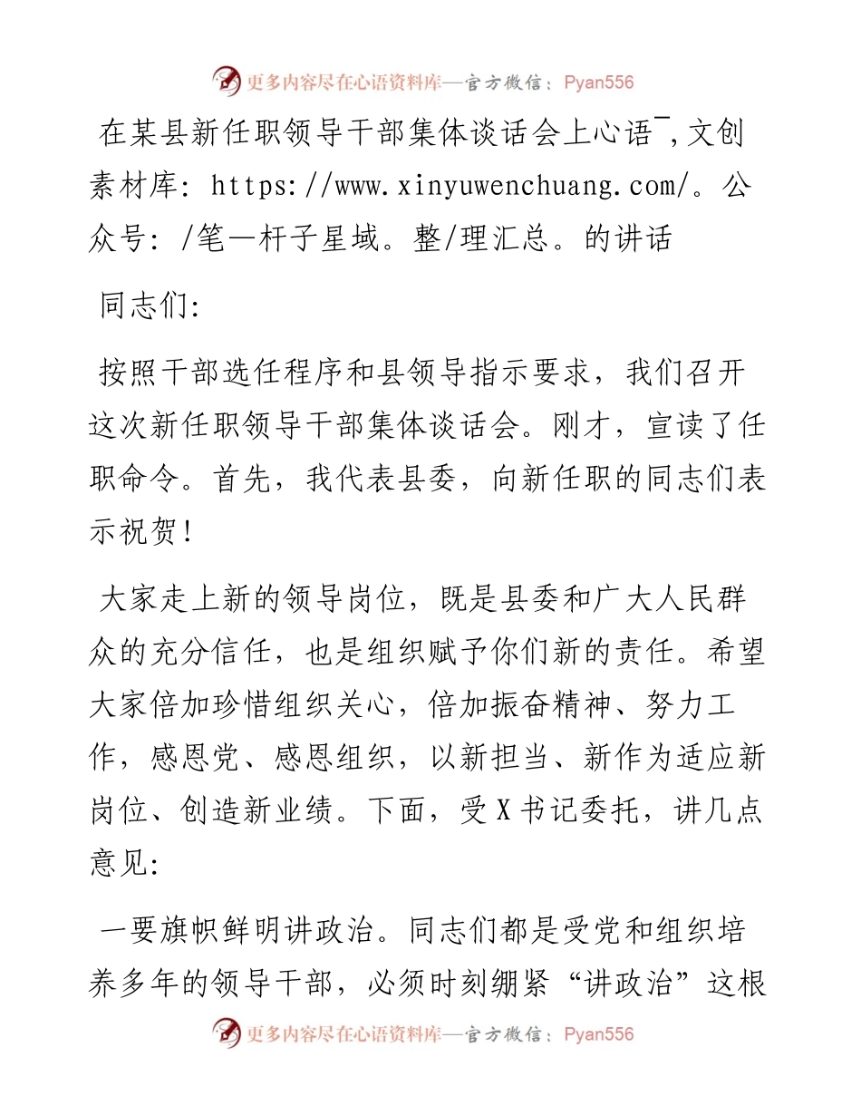 在某县新任职领导干部集体谈话会上的讲话.docx_第1页
