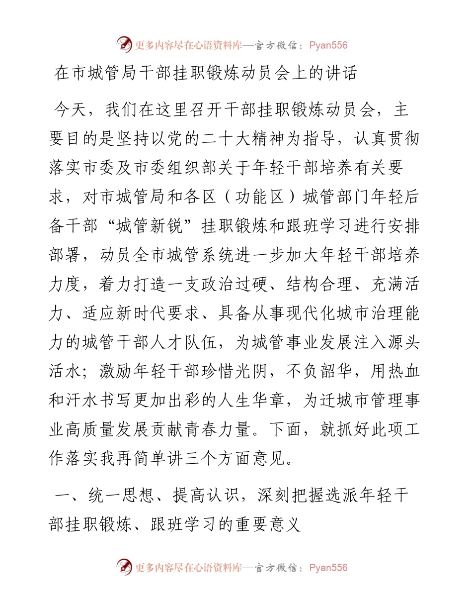 在市城管局干部挂职锻炼动员会上的讲话.docx_第1页