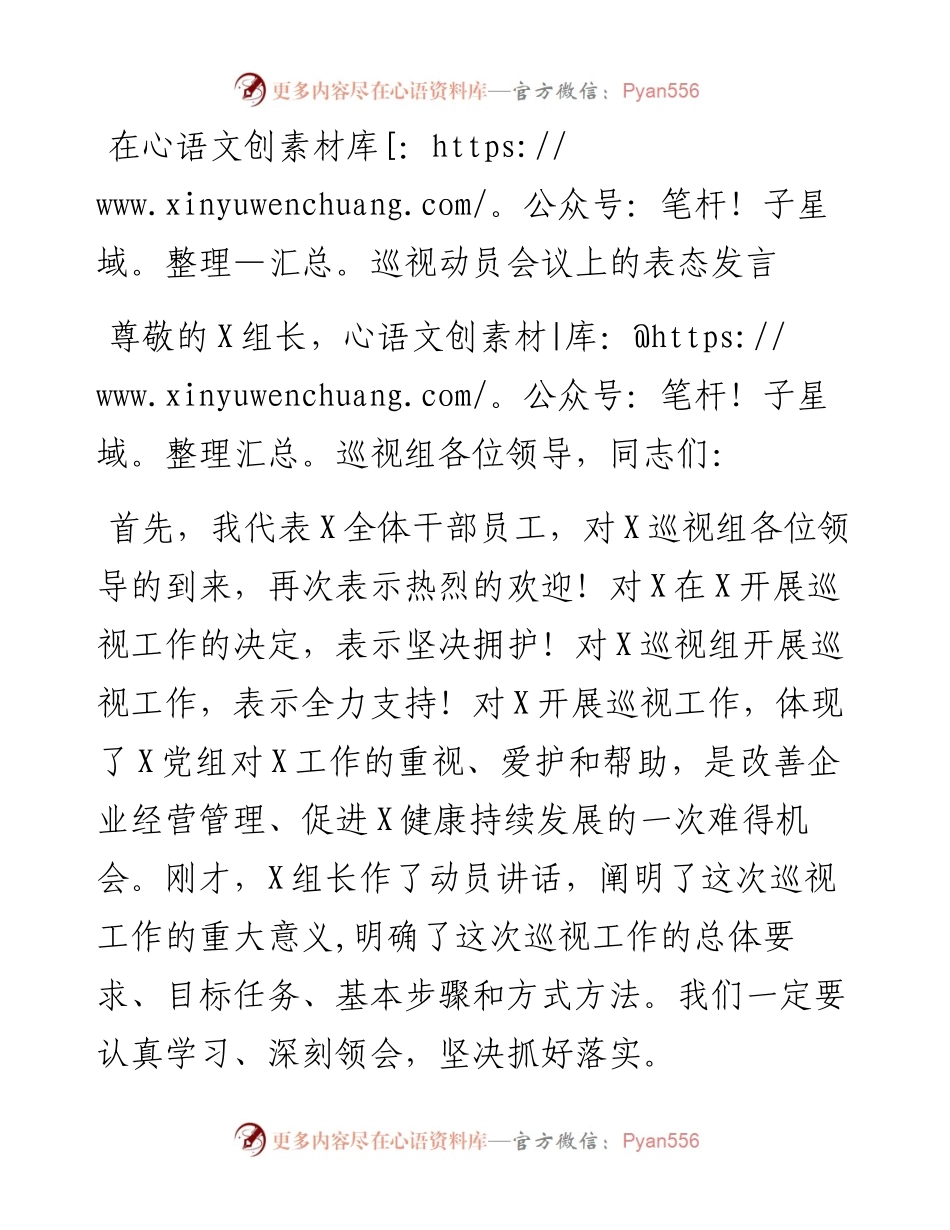 在巡视动员会议上的表态发言.docx_第1页