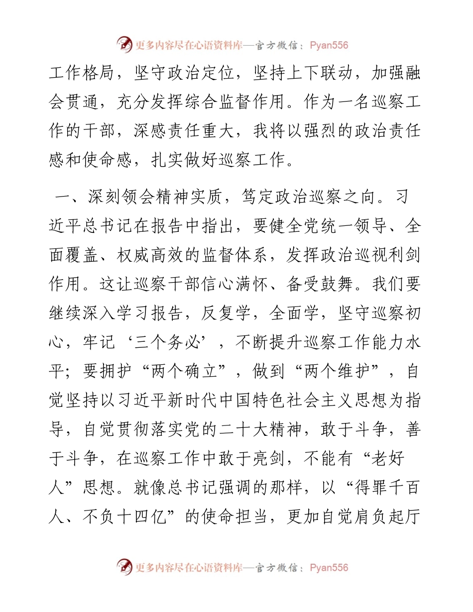 巡察干部学习党的二十大精神交流研讨材料.docx_第2页