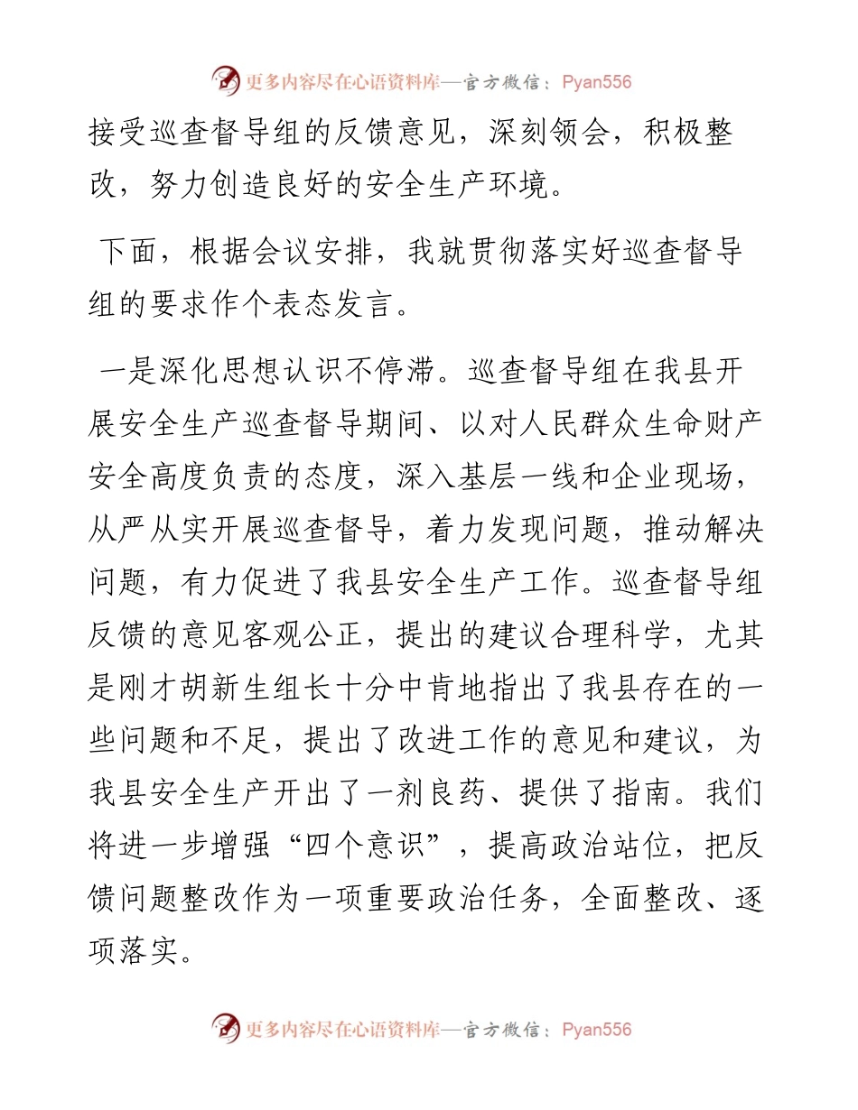 在安全生产巡查督导反馈会上的表态发言.docx_第2页