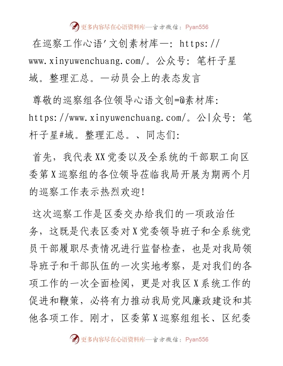 在巡察工作动员会上的表态发言（范文）.docx_第1页