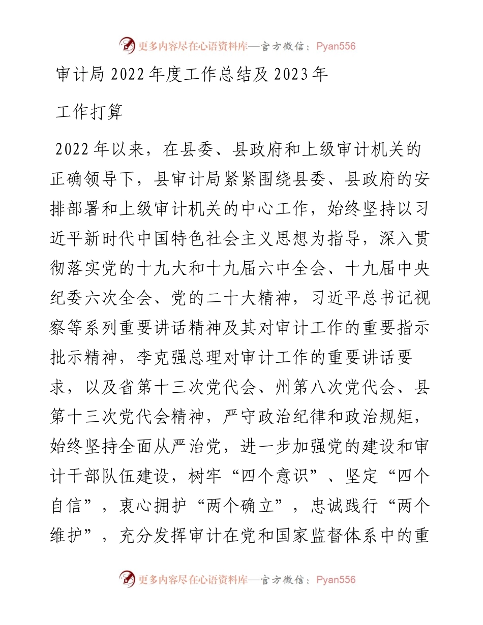 审计局度工作总结及2023年工作打算.docx_第1页