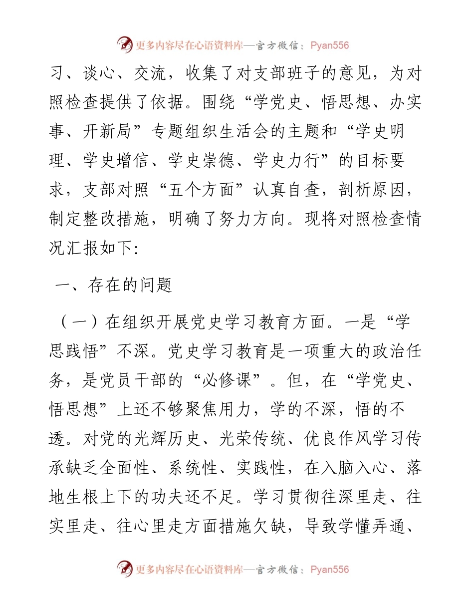 基层党支部班子党史学习教育专题组织生活会“五个方面”对照检查材料.docx_第2页