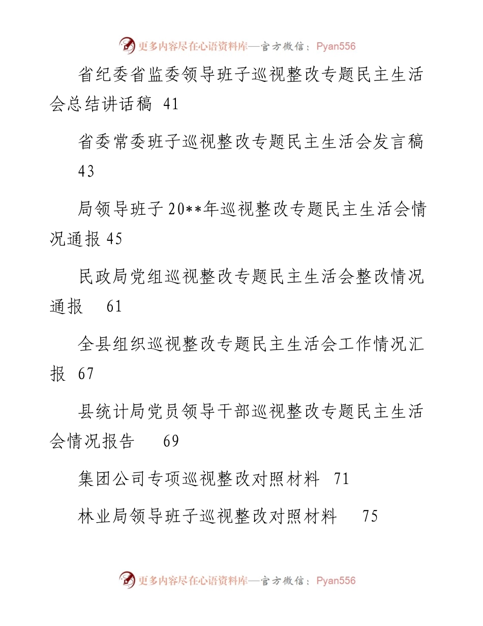 巡视整改民主SH会全套材料.docx_第2页