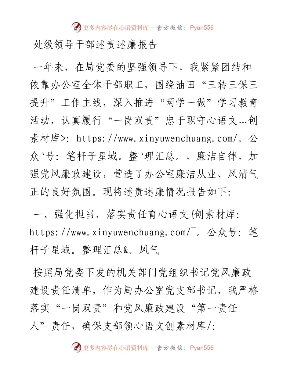 处级领导干部述责述廉报告.docx_第1页