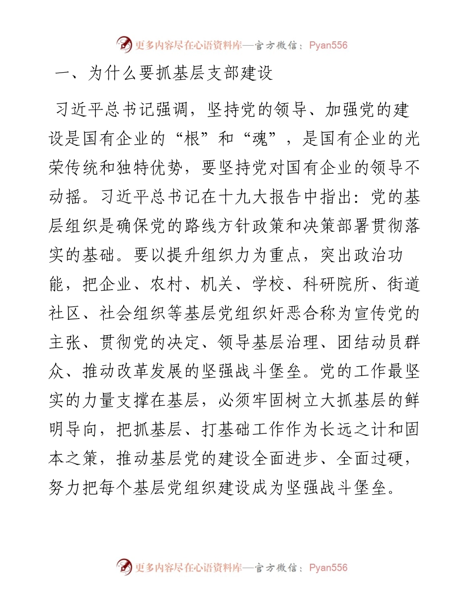 基层党支部建设讲稿（范文）.docx_第2页