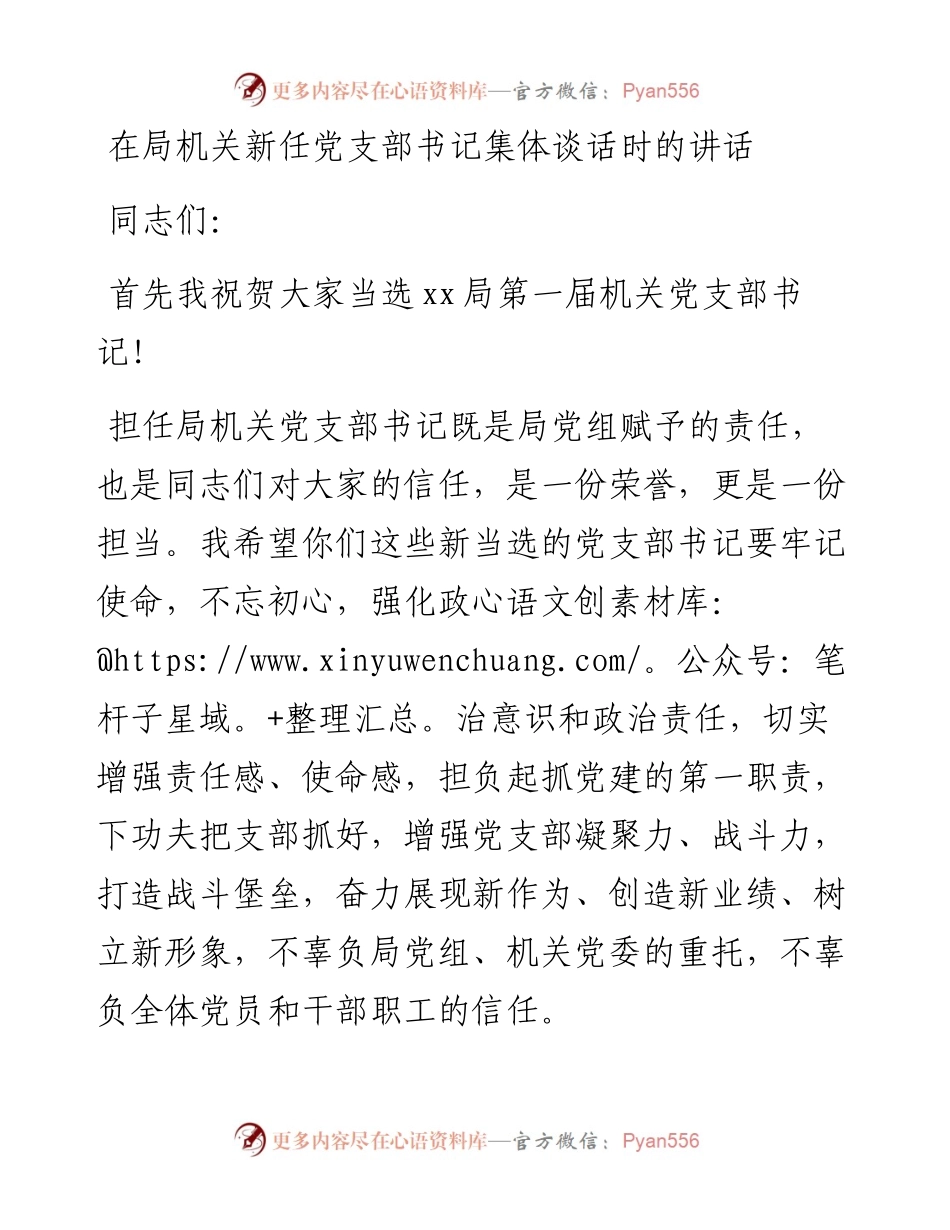 在局机关新任党支部书记集体谈话时的讲话.docx_第1页
