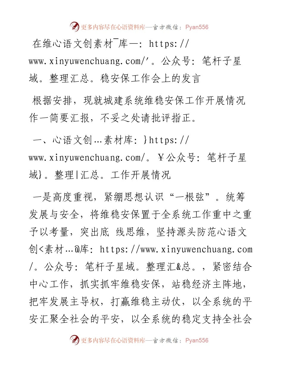 在维稳安保工作会上的发言.docx_第1页