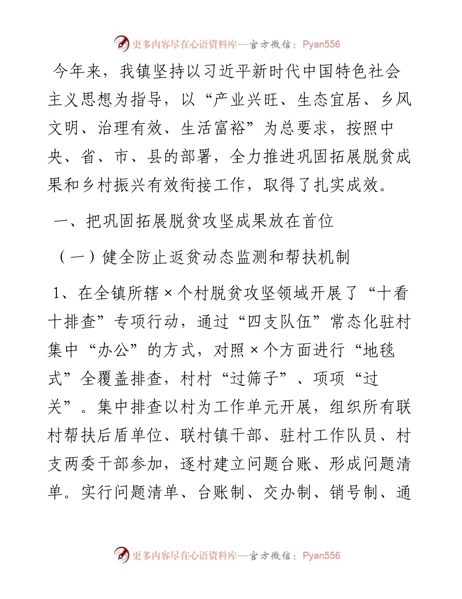 实施乡村振兴战略工作总结.docx_第1页