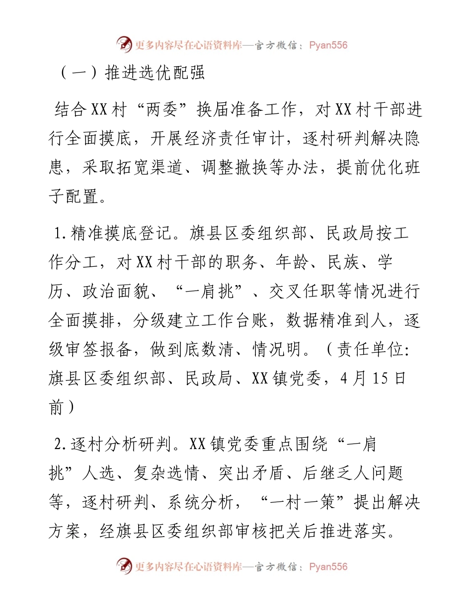 市X村党组织带头人队伍建设优化提升项目推进方案.docx_第2页