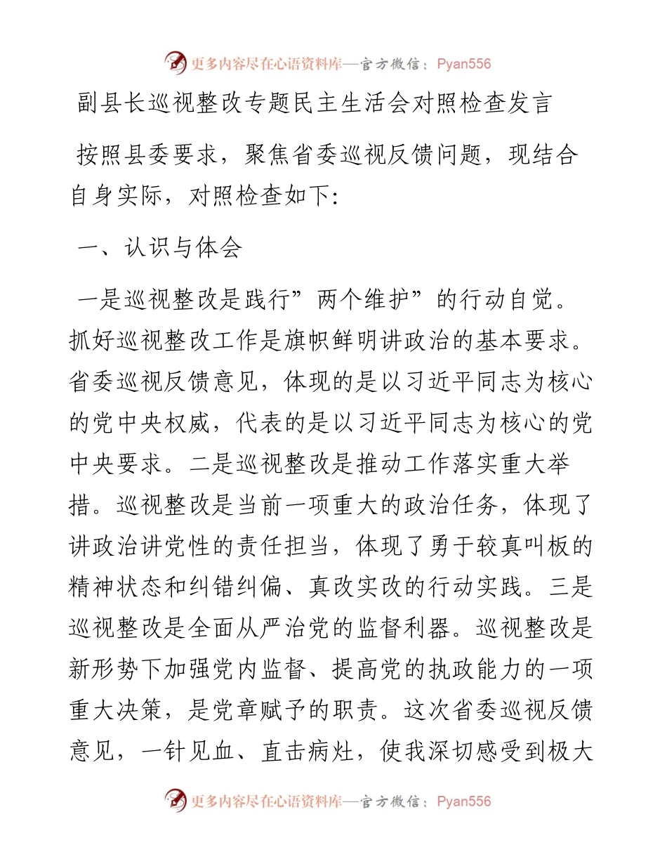 巡视整改专题民主生活会对照检查发言.docx_第1页